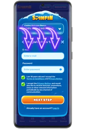Enter your registration details casino Spin Fin